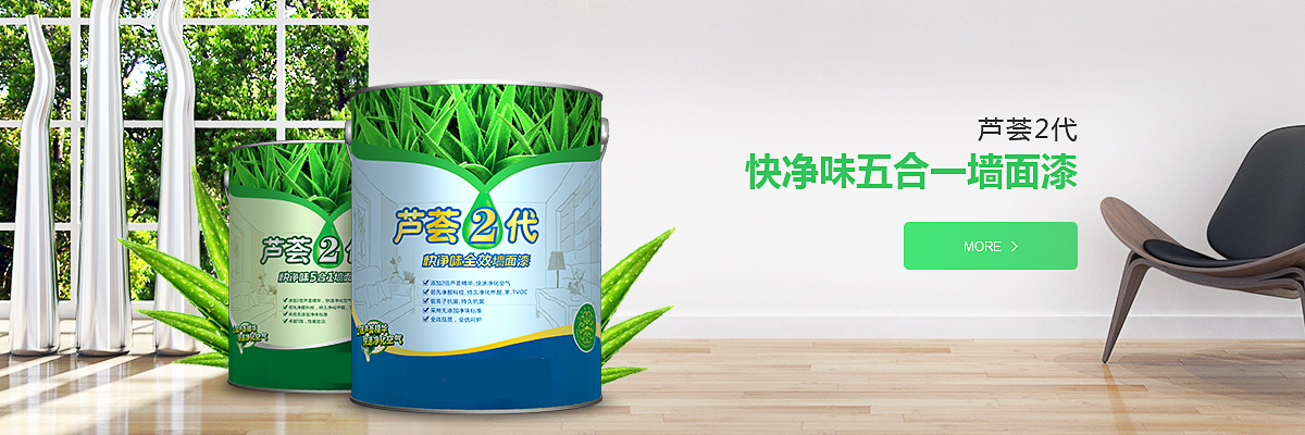 新房全屋墙面涂装工程